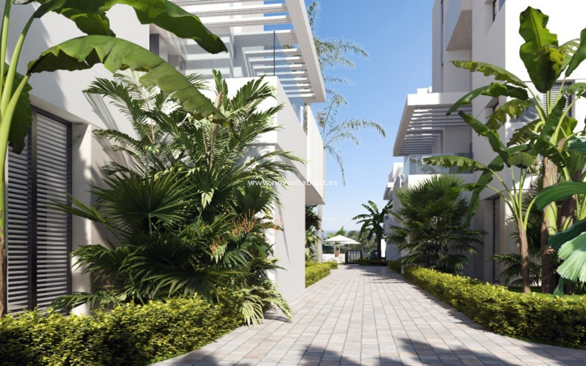 Nouvelle construction - Penthouses - Torre Pacheco - Torre-Pacheco