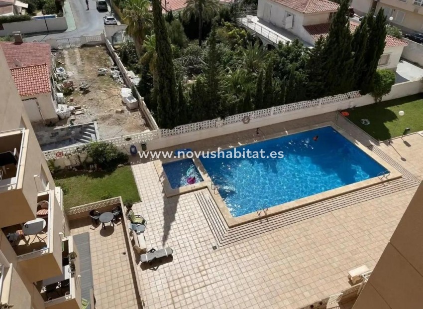 Nouvelle construction - Penthouses - Torrevieja