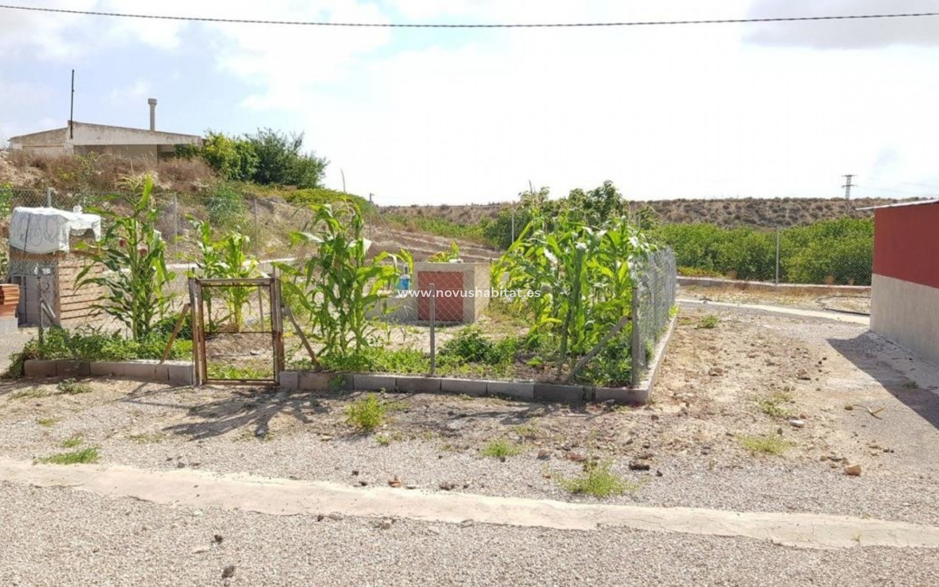 Nouvelle construction - Rustic estate - Los Montesinos
