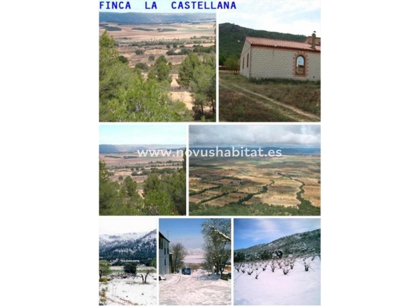 Nouvelle construction - Rustic estate - Villena