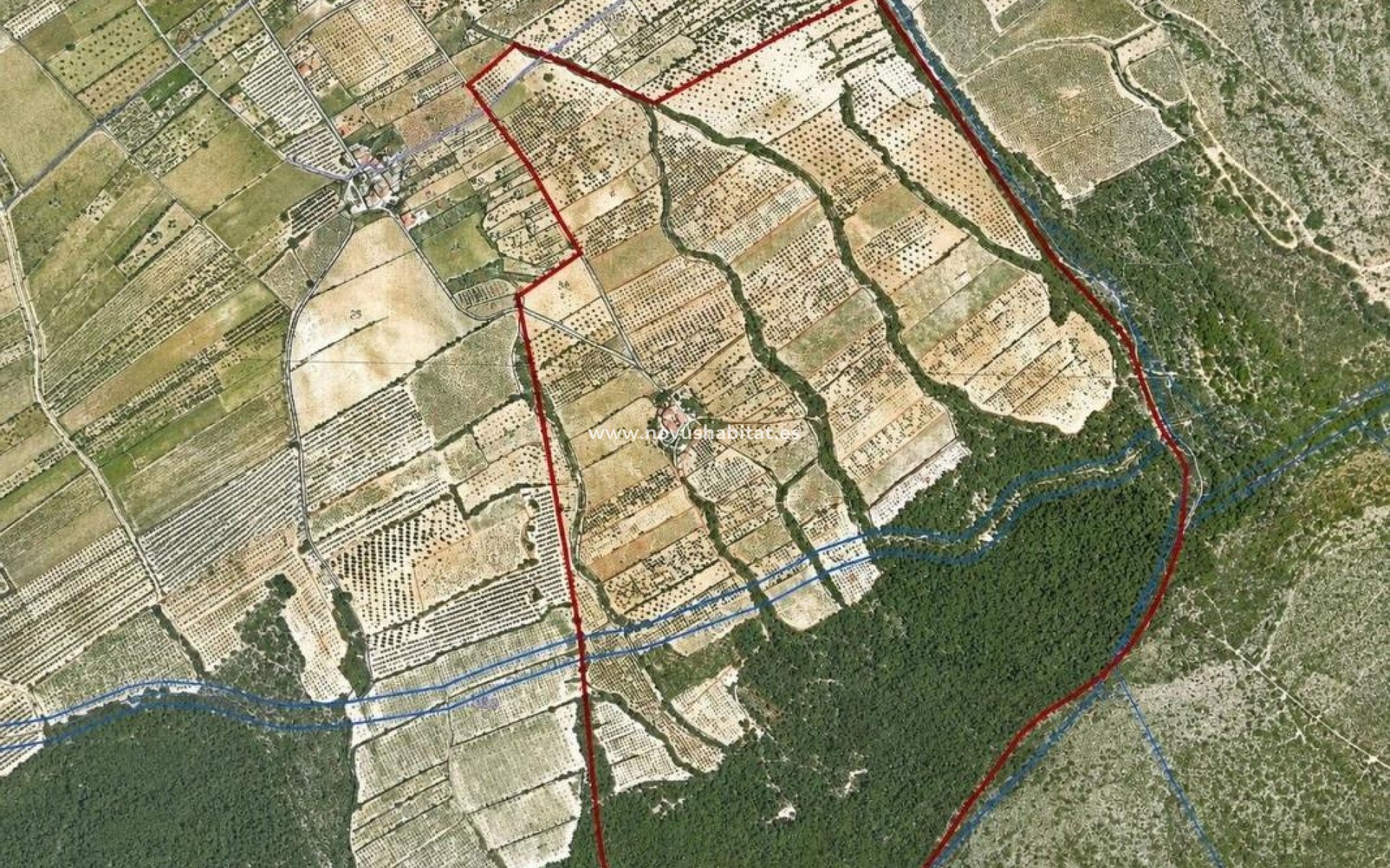 Nouvelle construction - Rustic estate - Villena