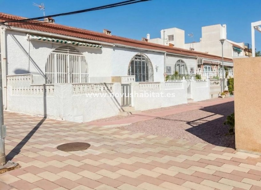 Nouvelle construction - Terraced houses - Torrevieja