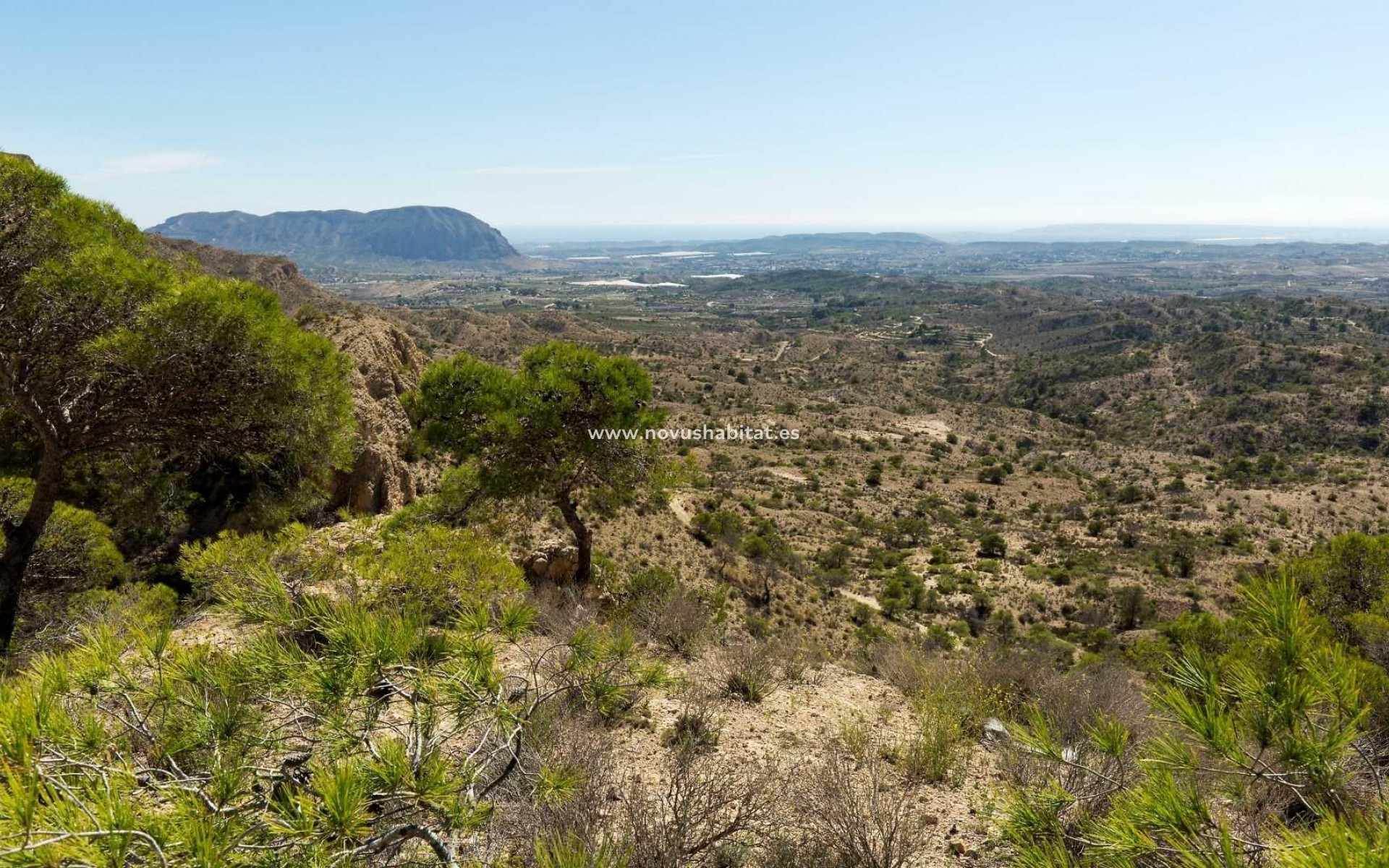 Nouvelle construction - Villa - Aspe