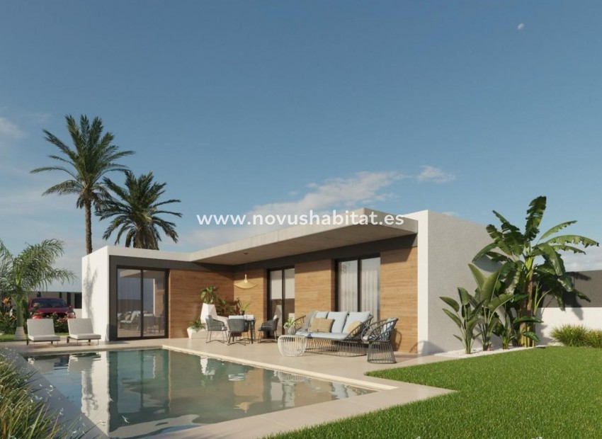 Nouvelle construction - Villa - Molina De Segura