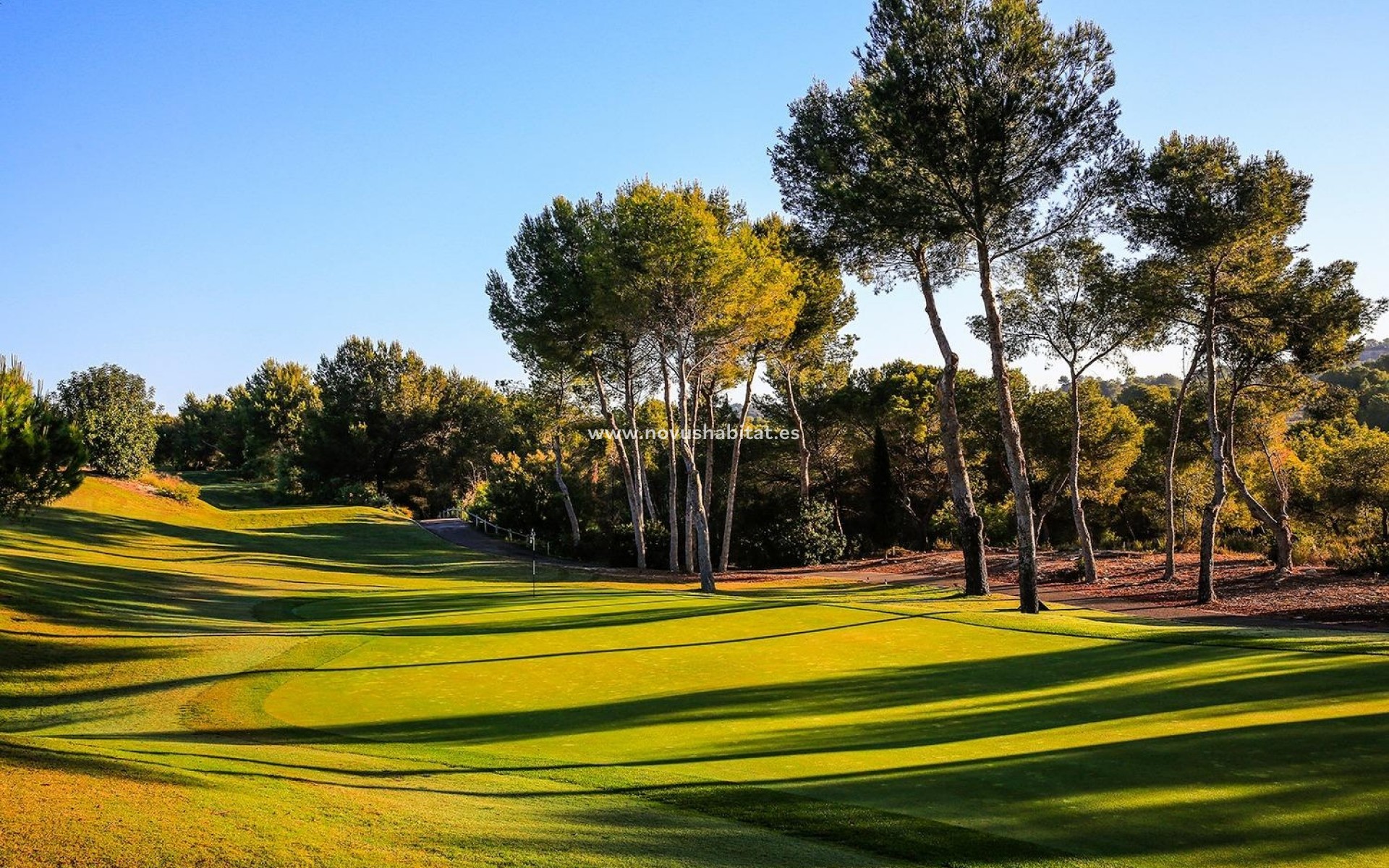 Nouvelle construction - Villa - Orihuela