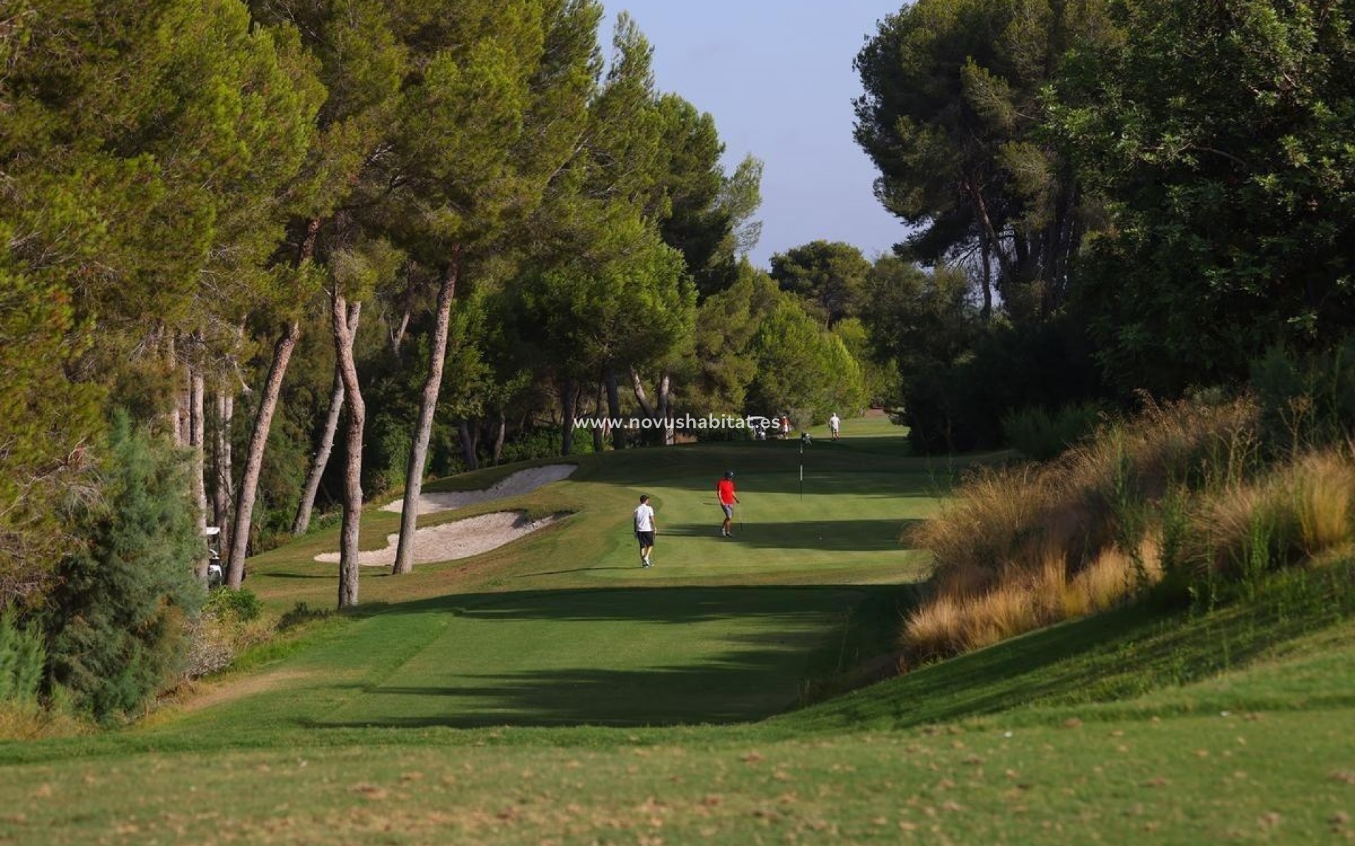 Nouvelle construction - Villa - Orihuela