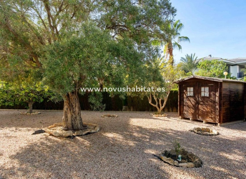Nouvelle construction - Villa - Orihuela
