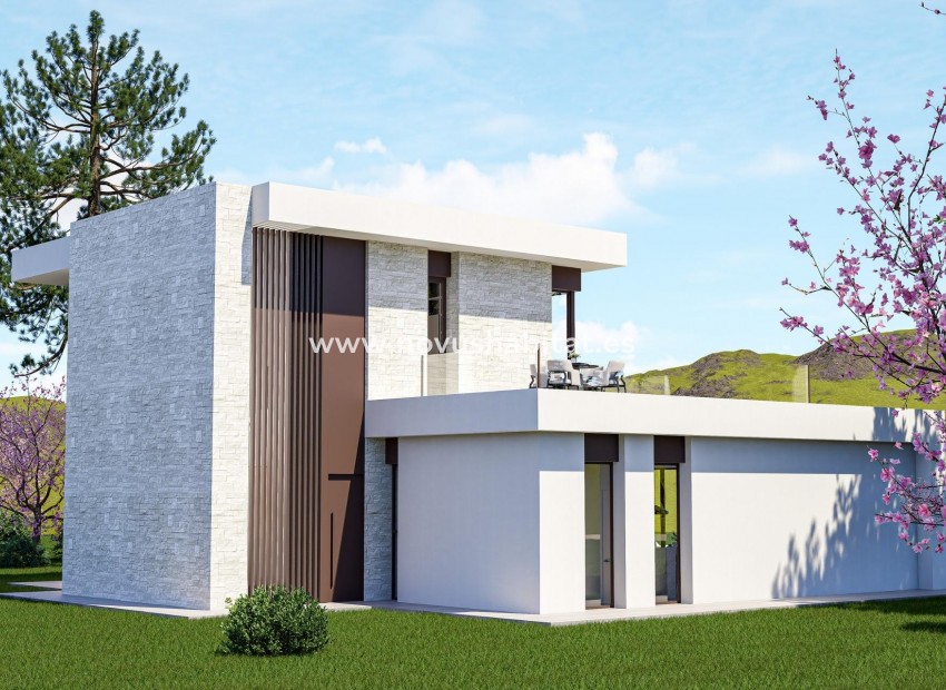 Nouvelle construction - Villa - Pinoso