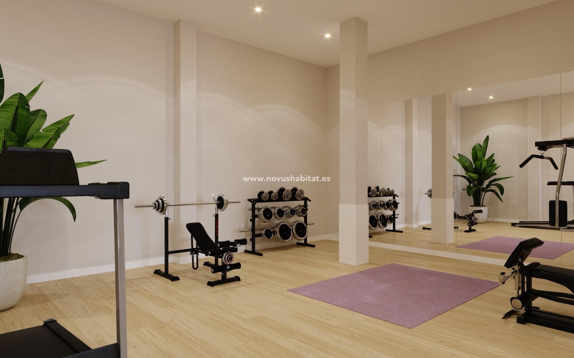 Nowa inwestycja - Apartament - Algorfa