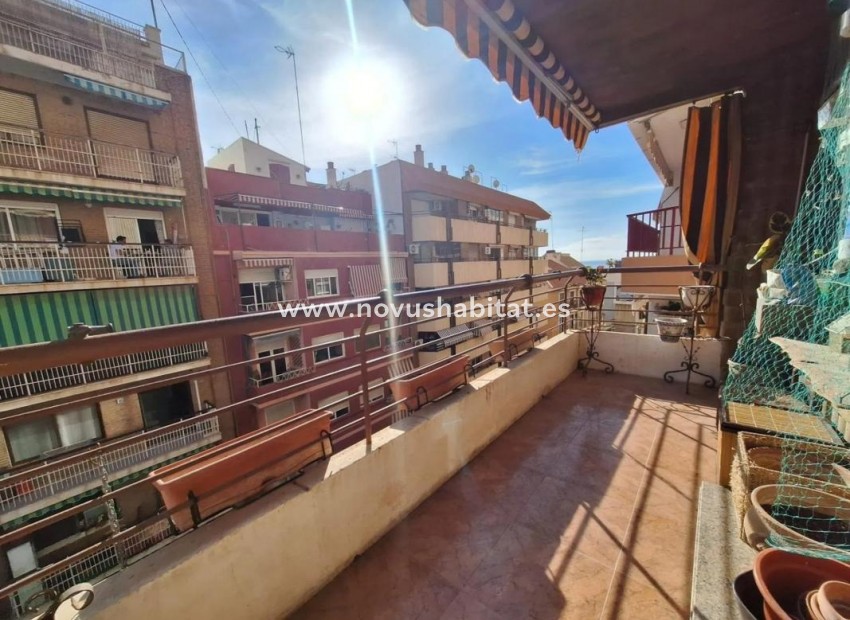 Nowa inwestycja - Apartament - Alicante