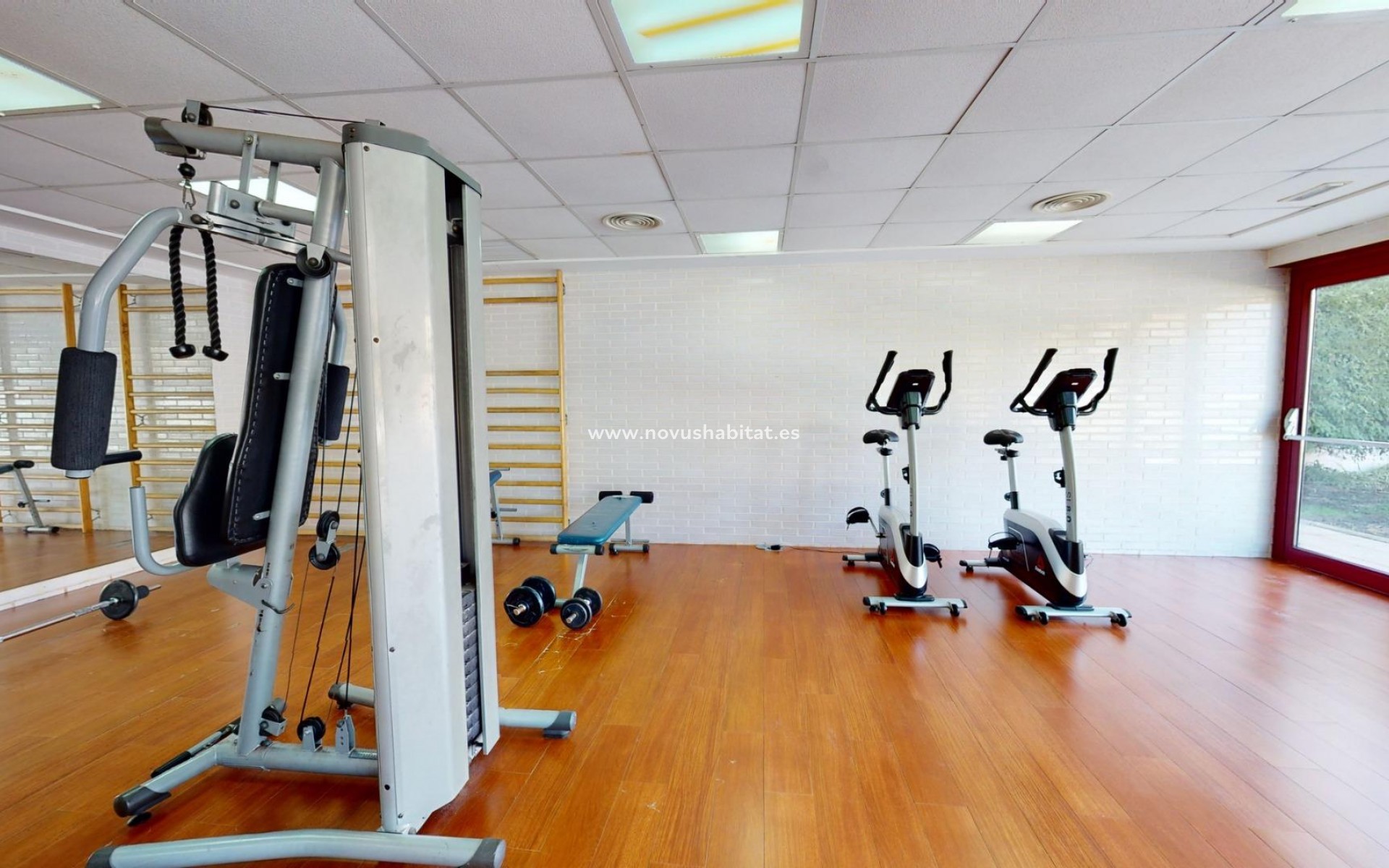 Nowa inwestycja - Apartament - Archena