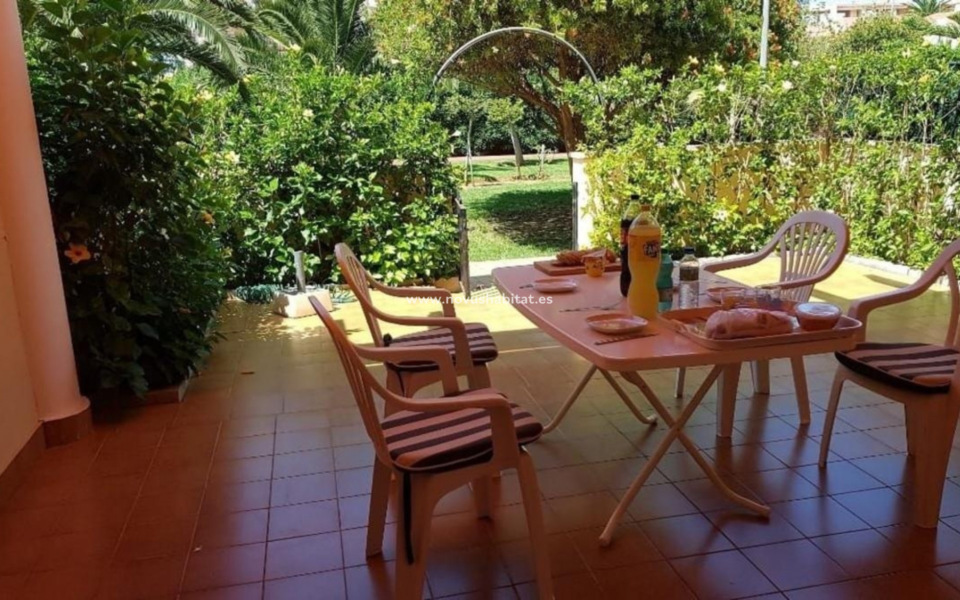 Nowa inwestycja - Apartament - Denia