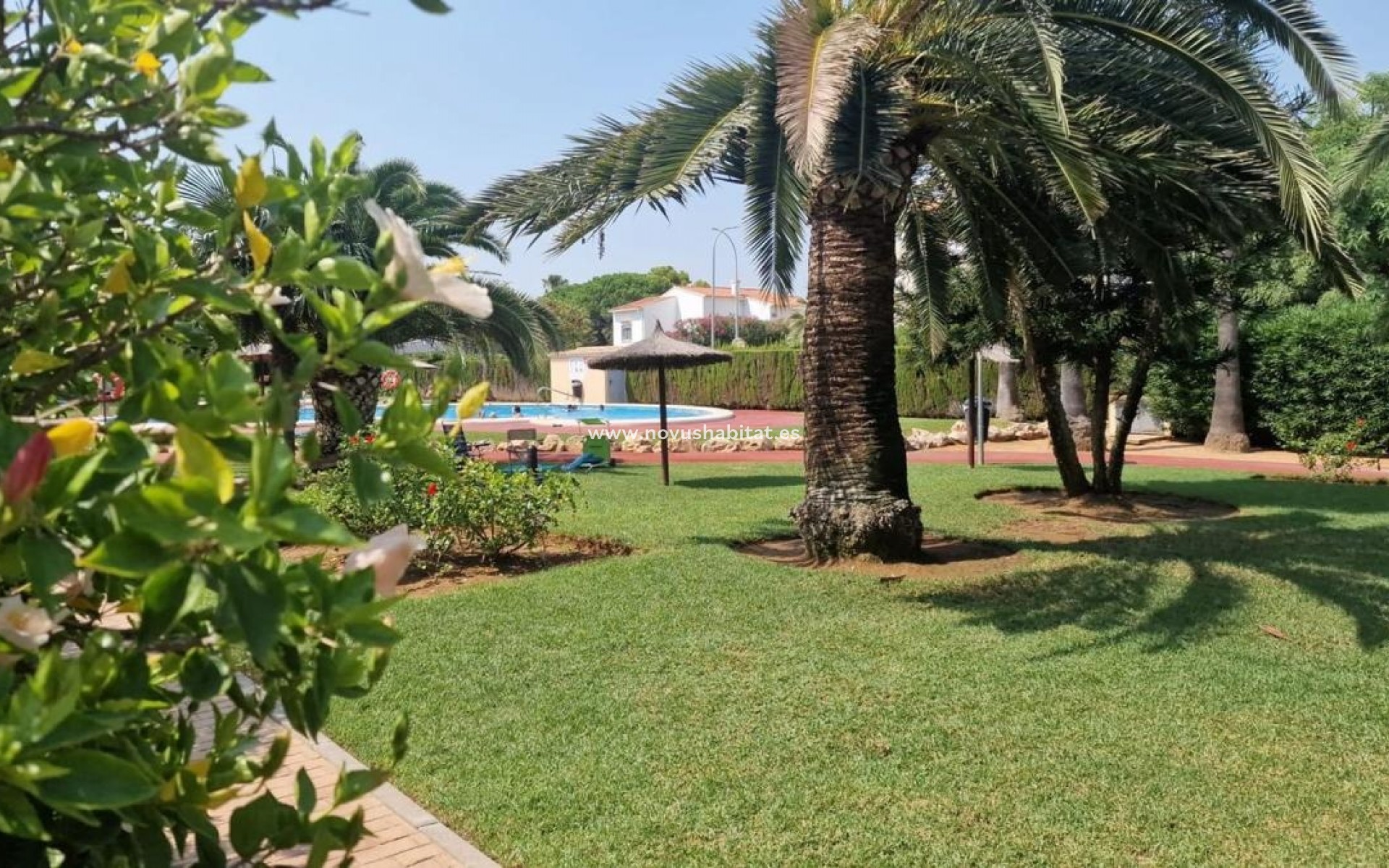 Nowa inwestycja - Apartament - Denia