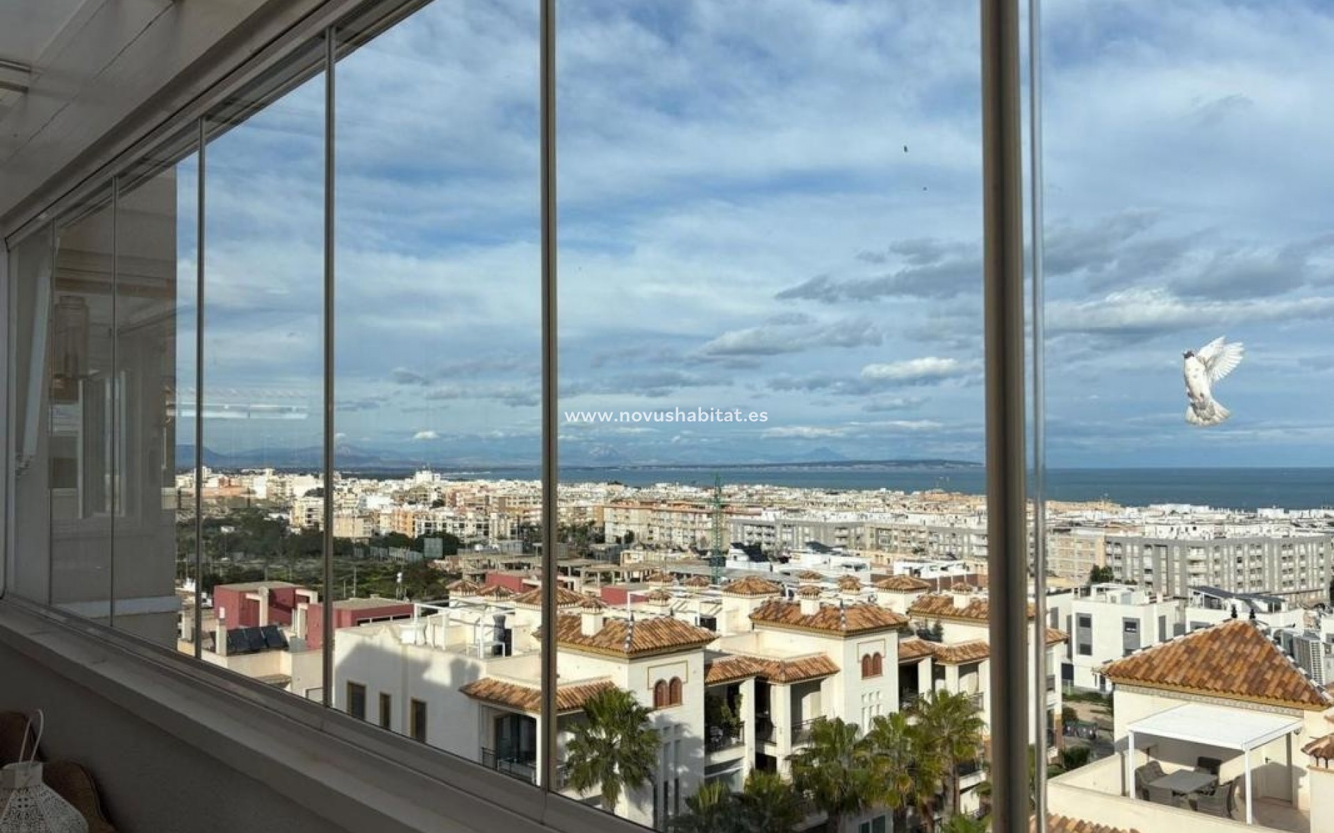 Nowa inwestycja - Apartament - Guardamar del Segura