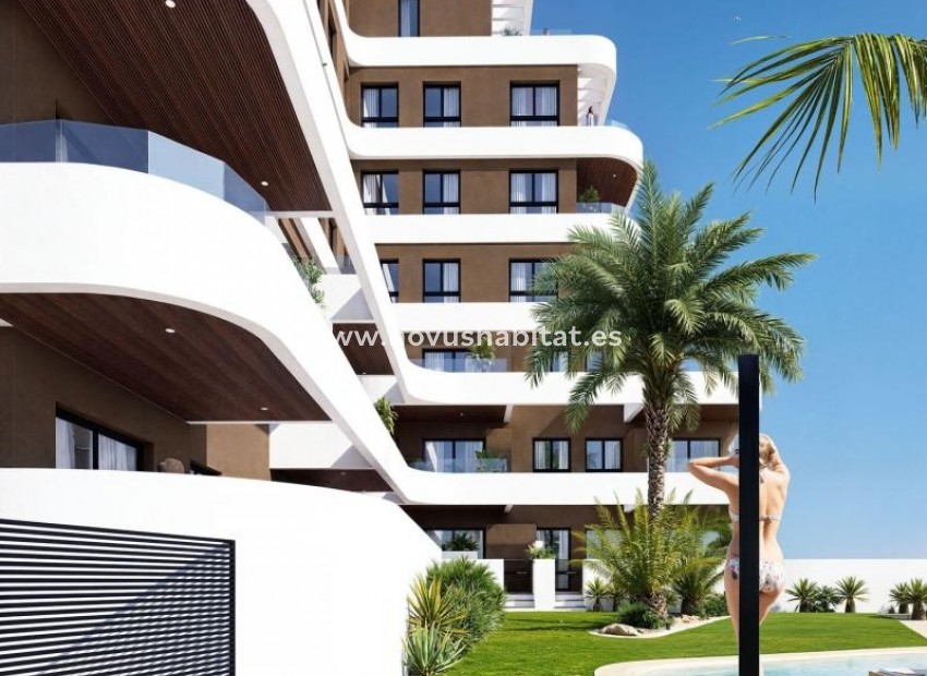 Nowa inwestycja - Apartament - Guardamar del Segura