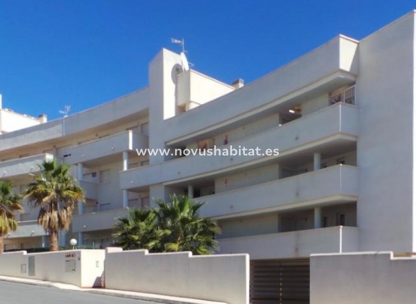 Nowa inwestycja - Apartament - Orihuela Costa - Pau 8