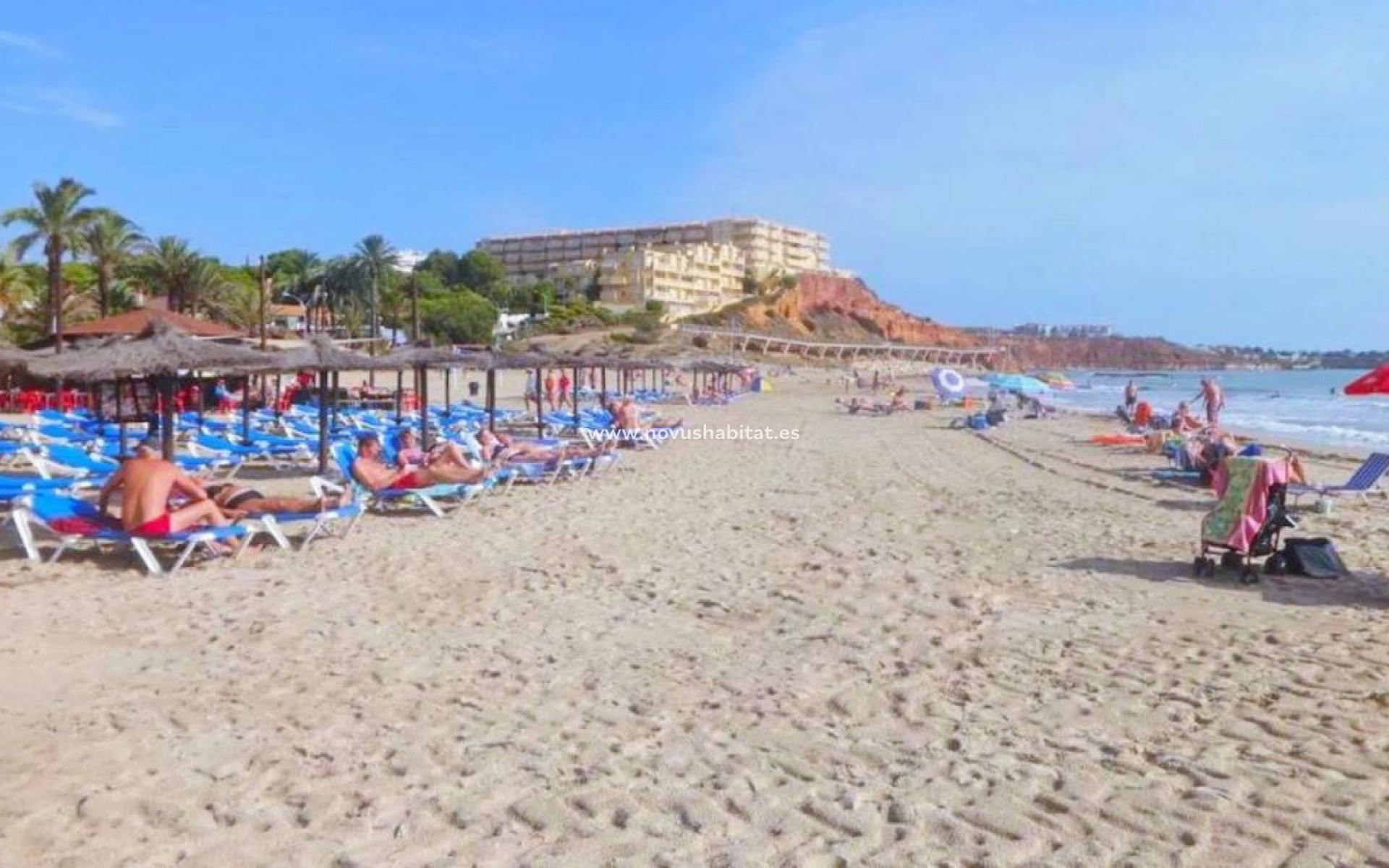 Nowa inwestycja - Apartament - Orihuela