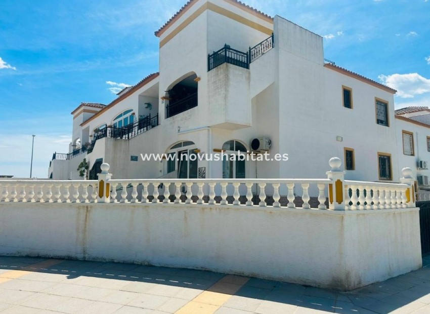 Nowa inwestycja - Apartament - Orihuela
