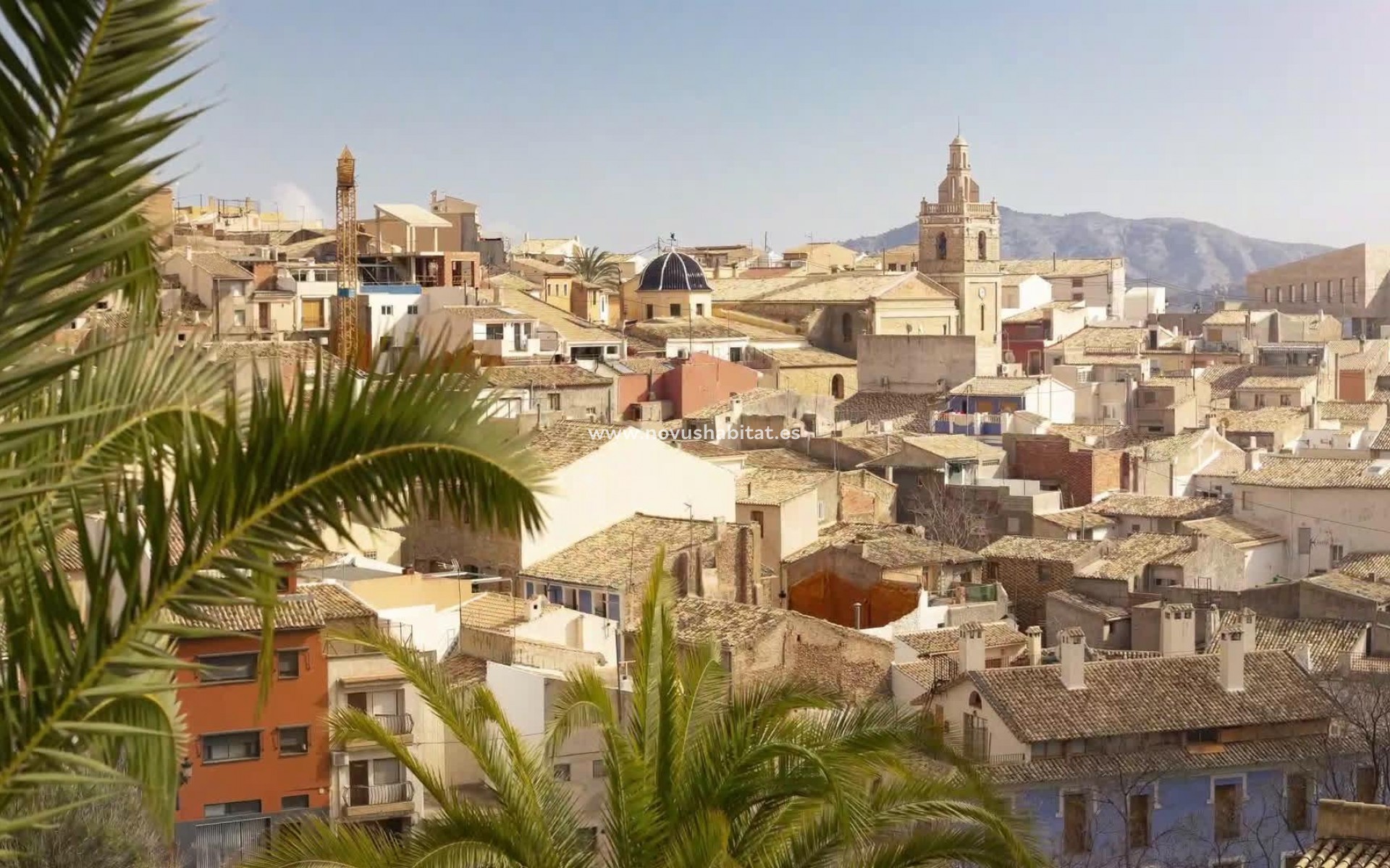 Nowa inwestycja - Apartament - Relleu