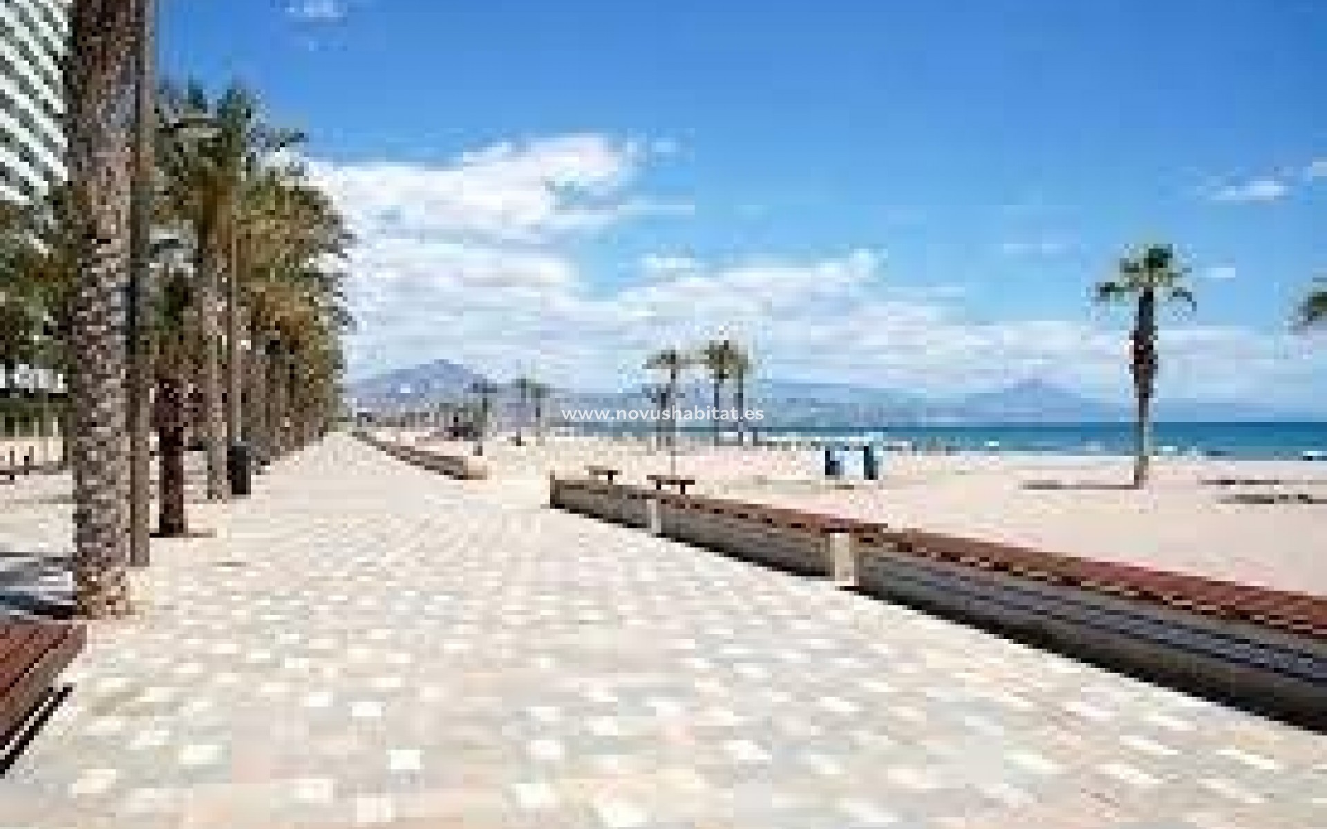 Nowa inwestycja - Apartament - San Juan Alicante - Fran Espinos