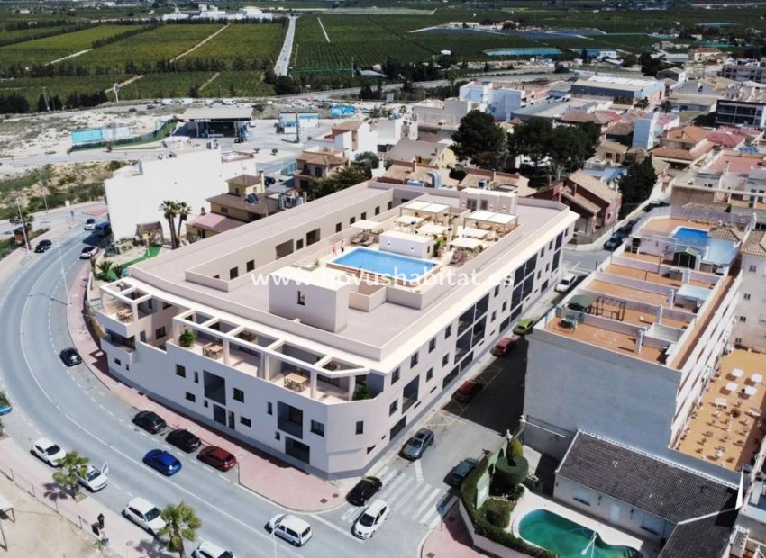 Nowa inwestycja - Apartament - San Miguel de Salinas