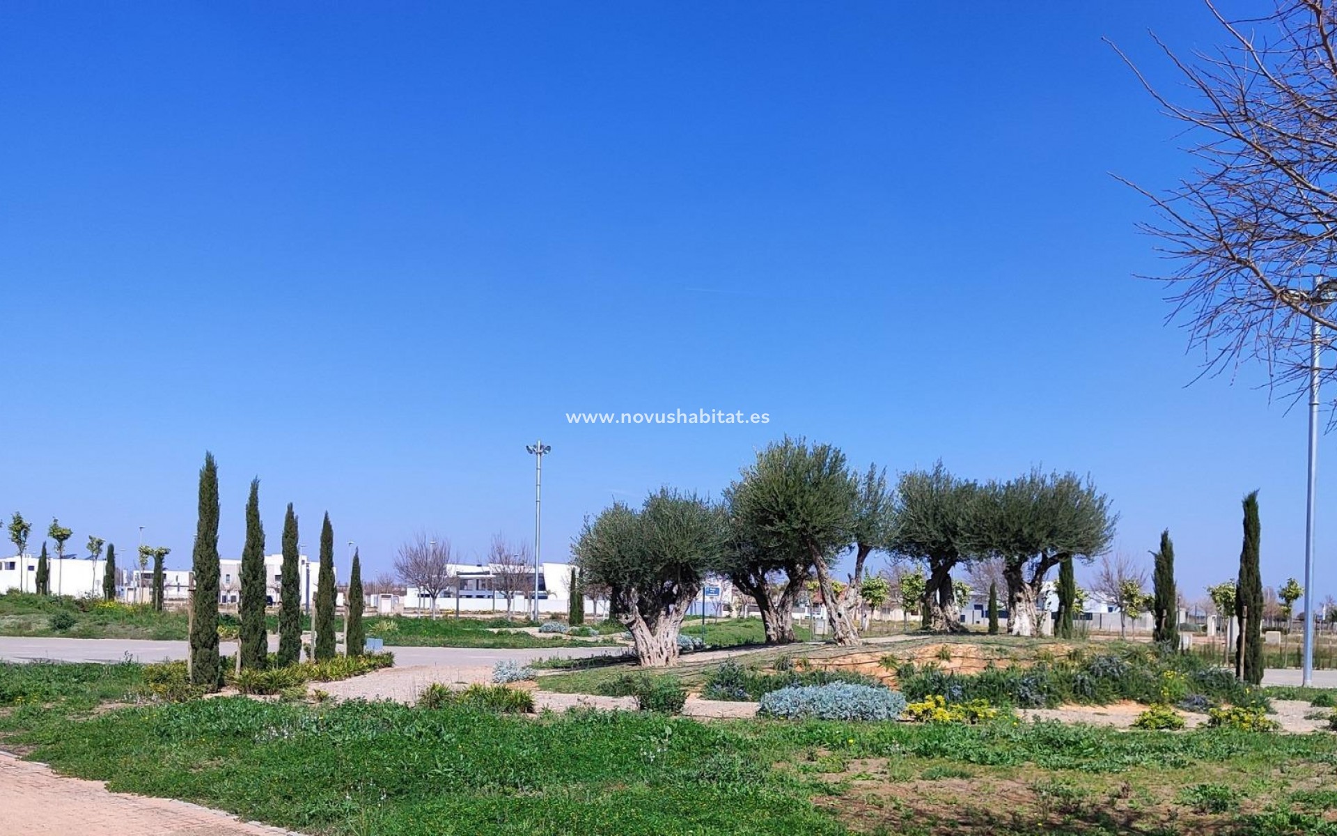 Nowa inwestycja - Apartament - Torre Pacheco - Torre-Pacheco