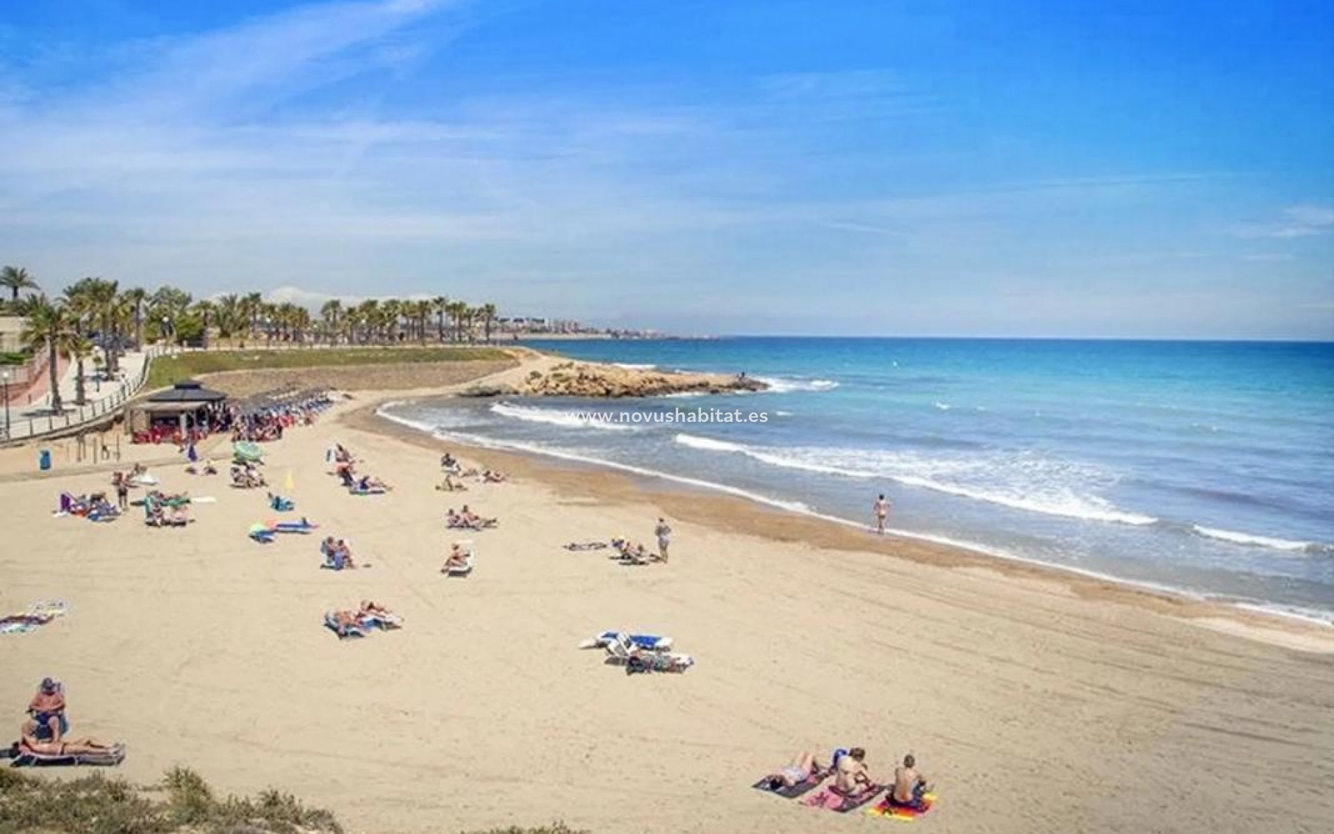 Nowa inwestycja - Apartament - Torrevieja