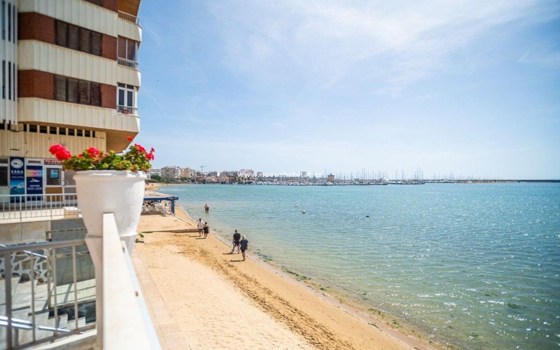 Nowa inwestycja - Apartament - Torrevieja