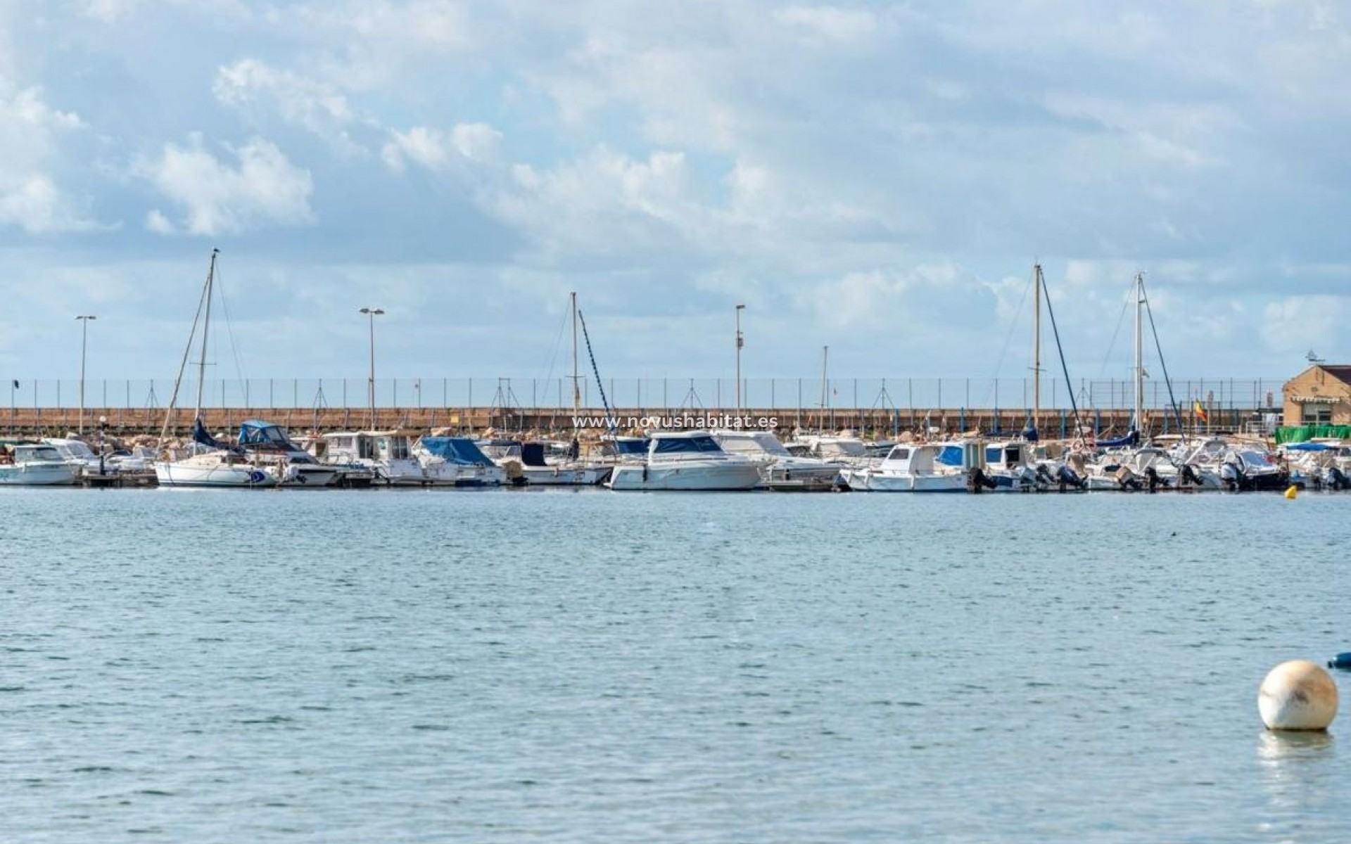 Nowa inwestycja - Apartament - Torrevieja