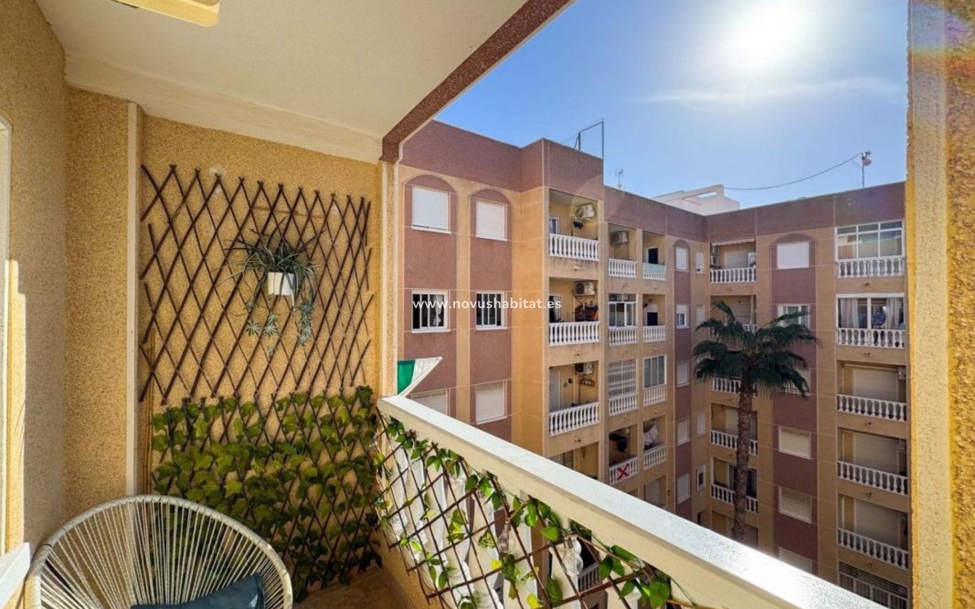 Nowa inwestycja - Apartament - Torrevieja