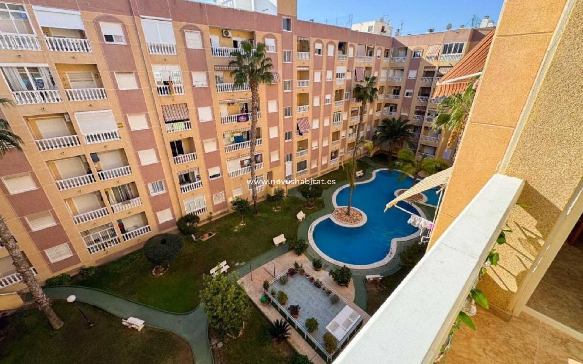 Nowa inwestycja - Apartament - Torrevieja