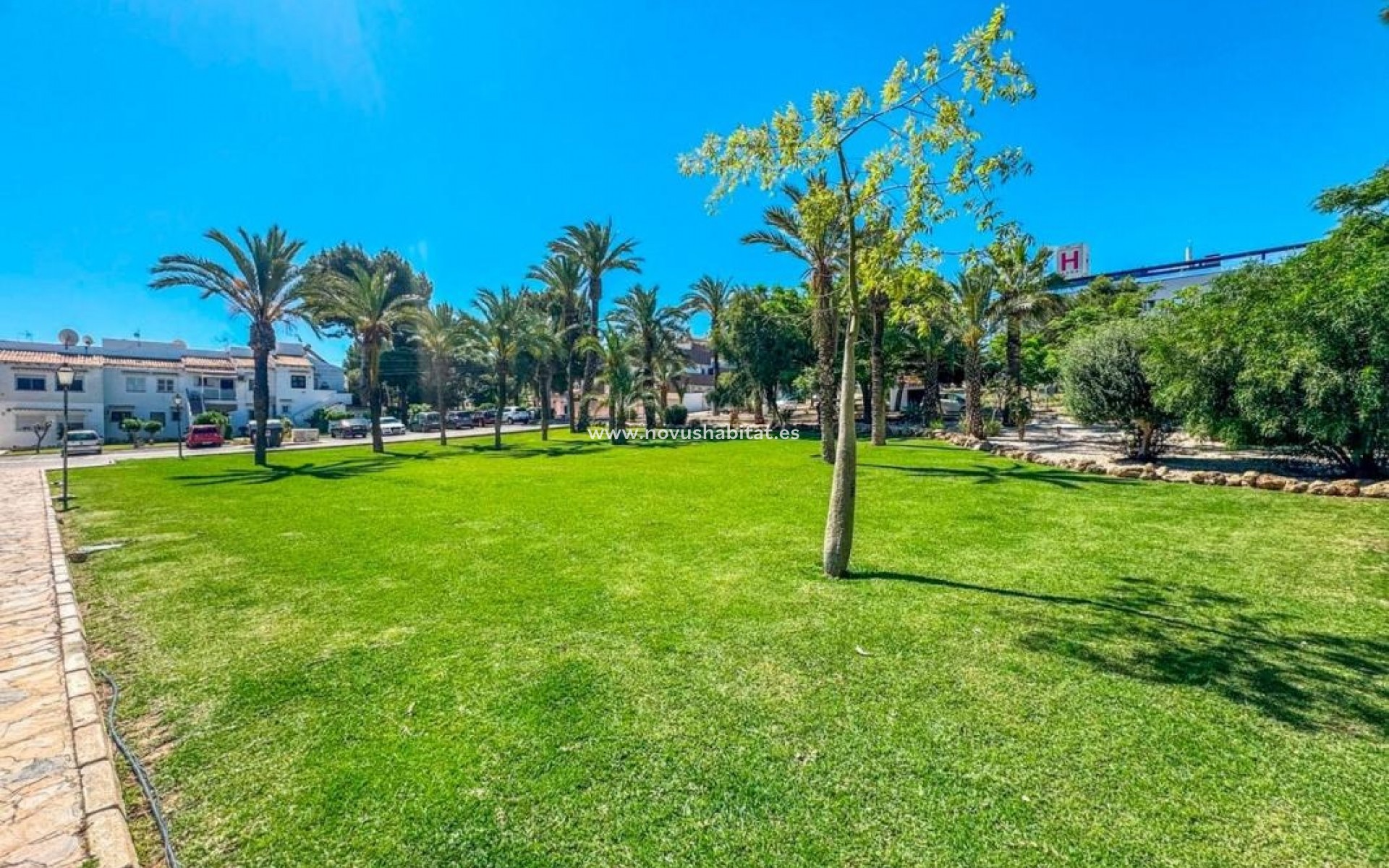 Nowa inwestycja - Apartament - Torrevieja