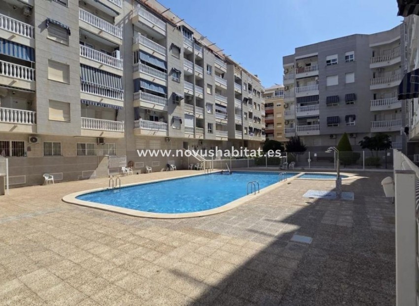 Nowa inwestycja - Apartament - Torrevieja
