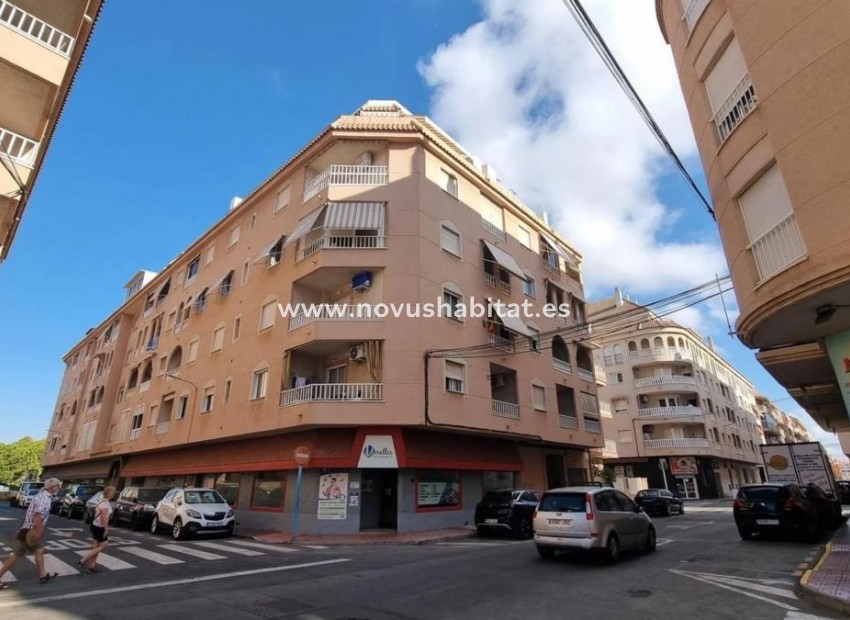 Nowa inwestycja - Apartament - Torrevieja