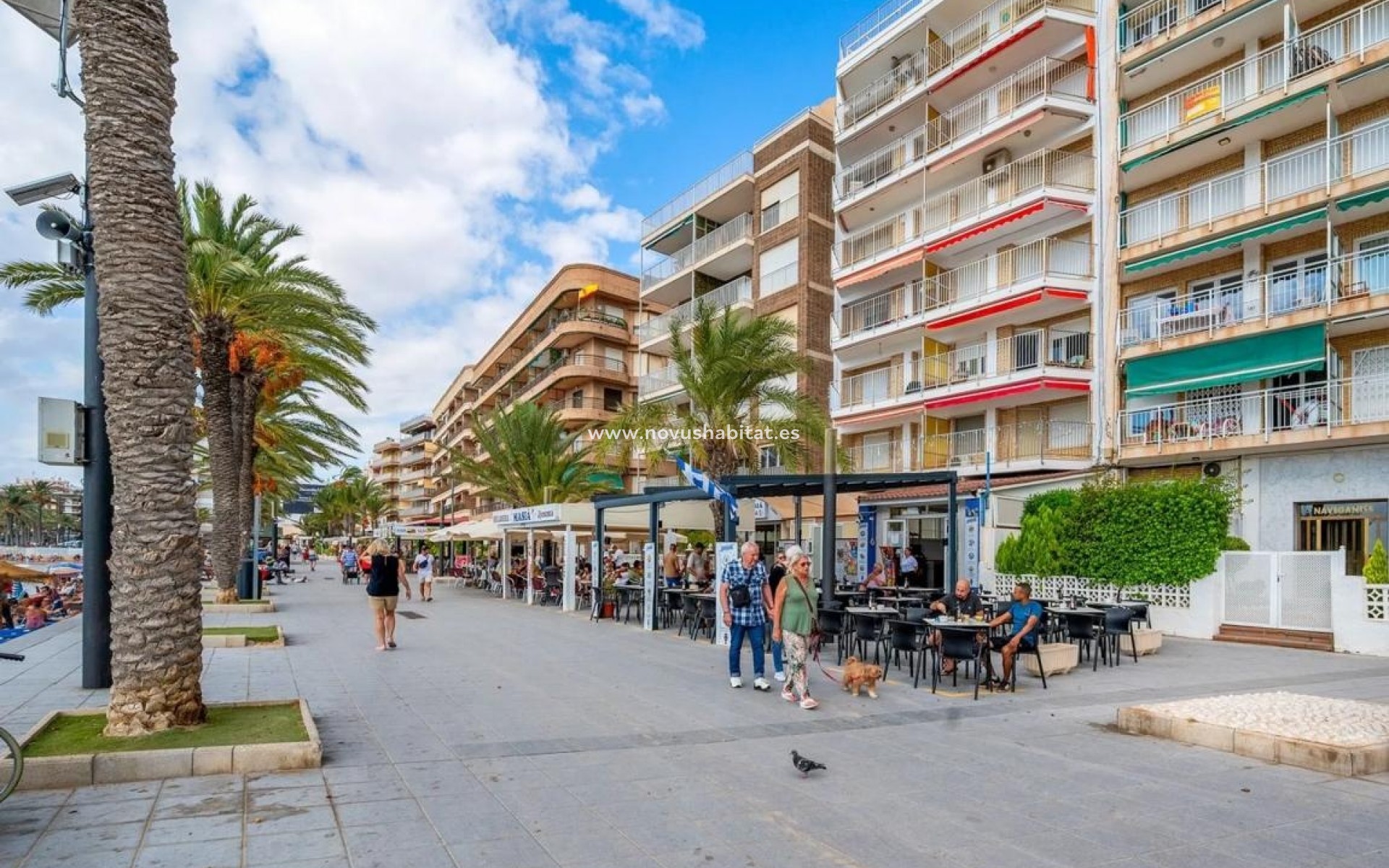 Nowa inwestycja - Apartament - Torrevieja