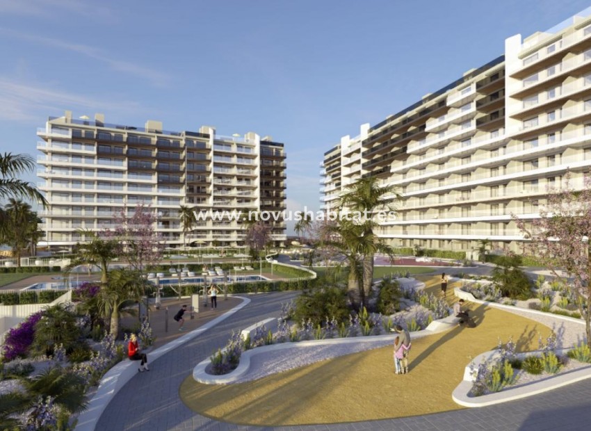 Nowa inwestycja - Apartament - Torrevieja