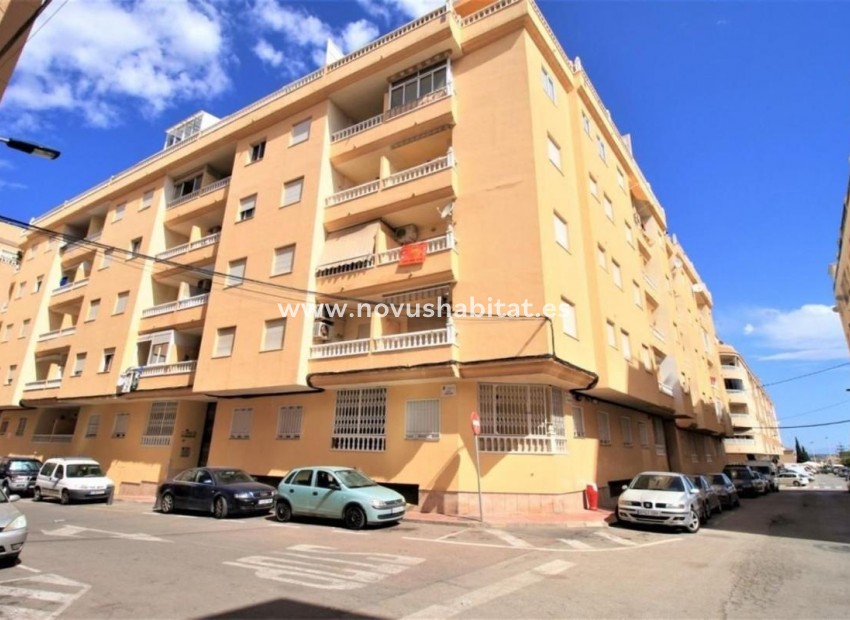 Nowa inwestycja - Apartament - Torrevieja