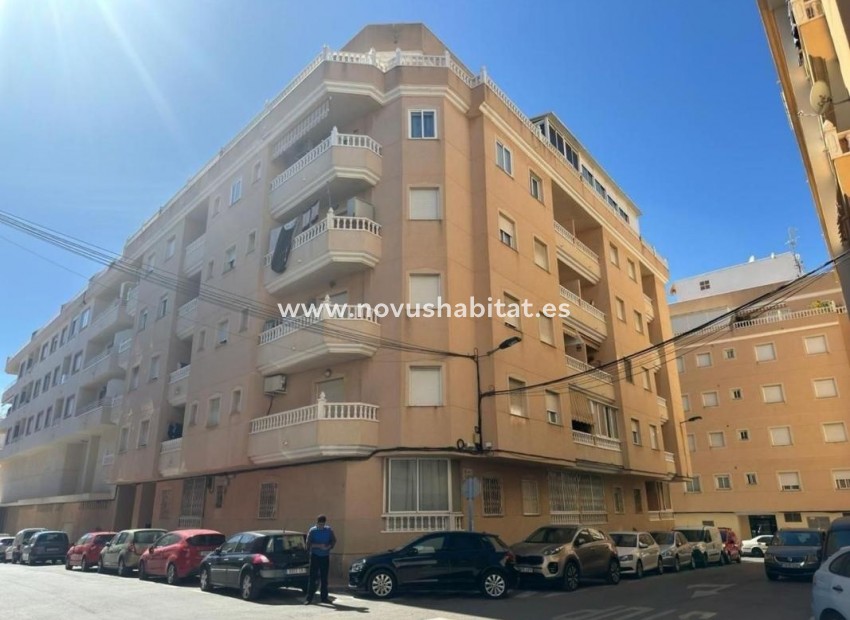 Nowa inwestycja - Apartament - Torrevieja