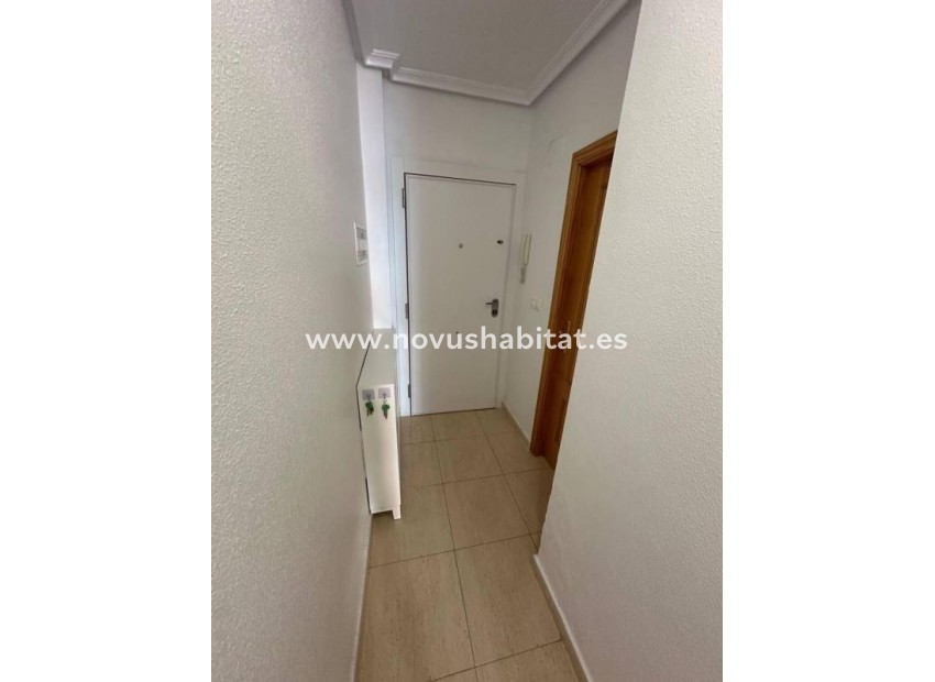 Nowa inwestycja - Apartament - Torrevieja