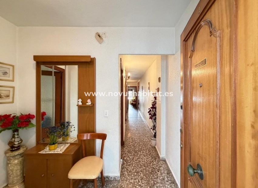 Nowa inwestycja - Apartament - Torrevieja