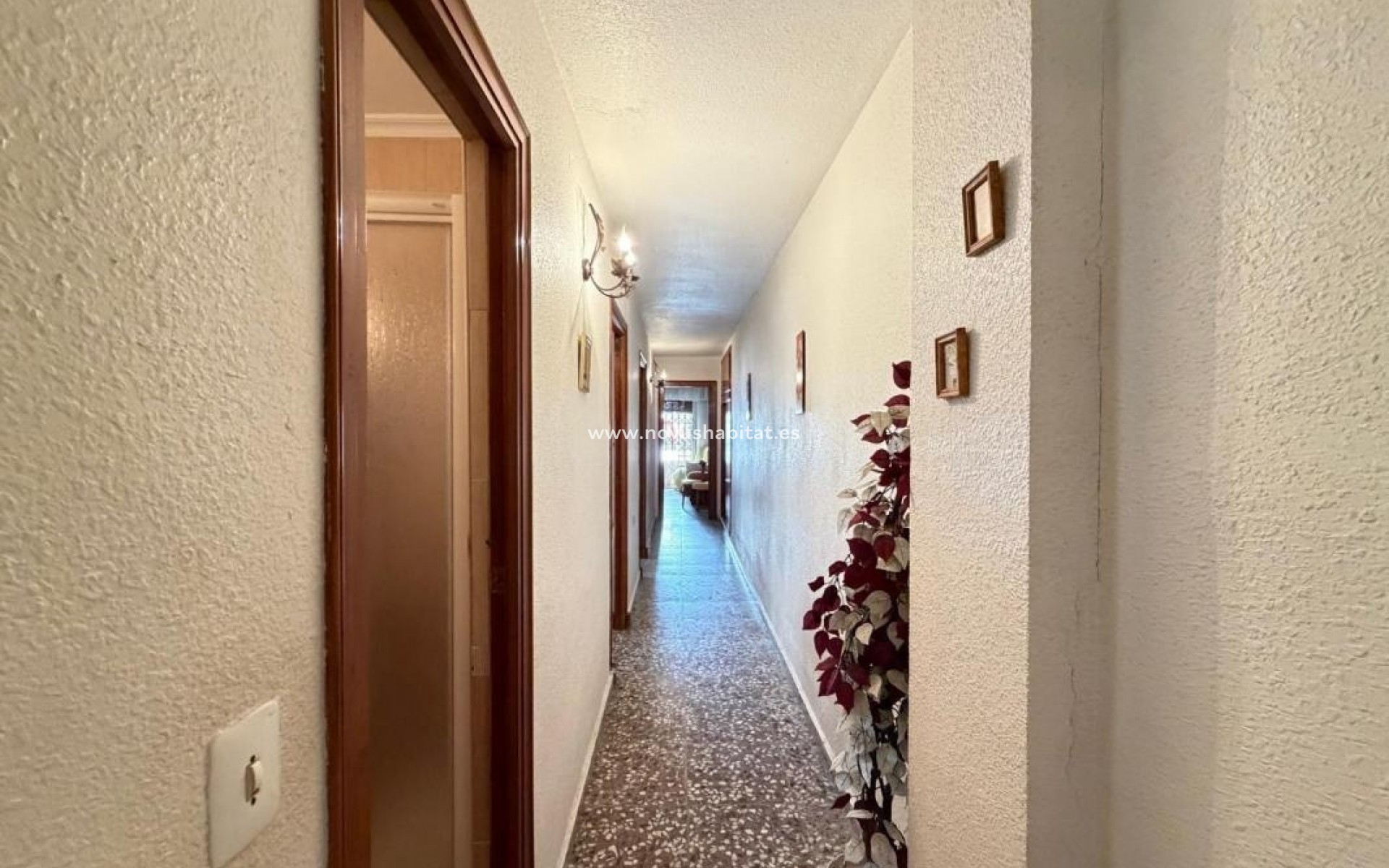Nowa inwestycja - Apartament - Torrevieja