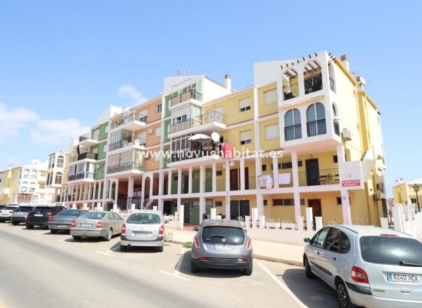 Nowa inwestycja - Apartament - Torrevieja