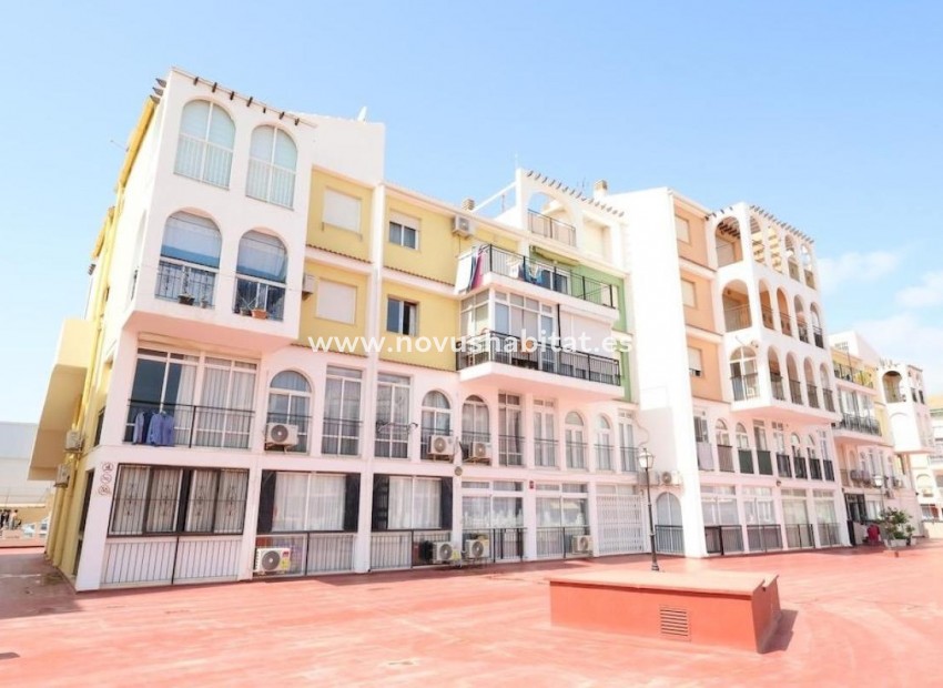 Nowa inwestycja - Apartament - Torrevieja