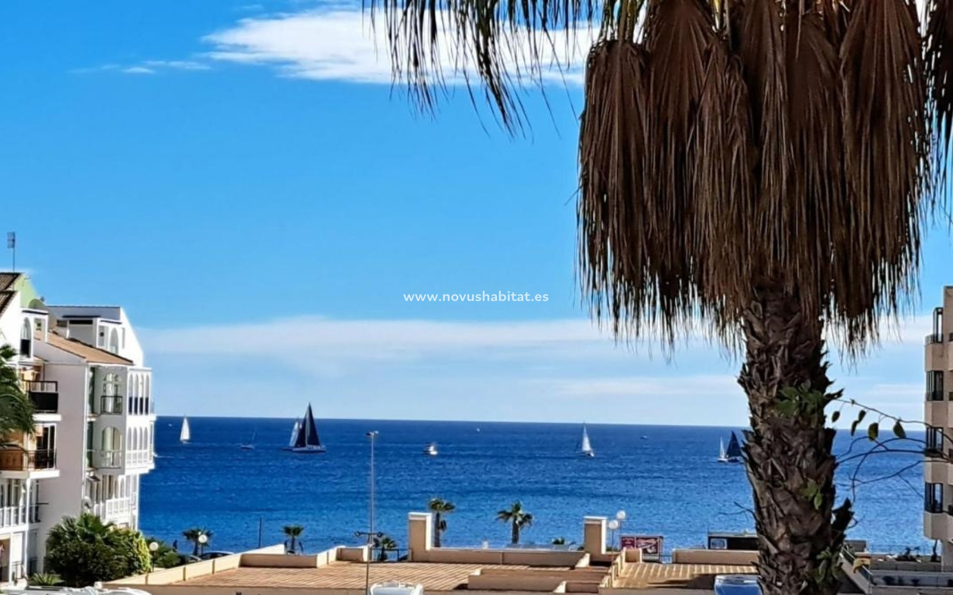 Nowa inwestycja - Apartament - Torrevieja