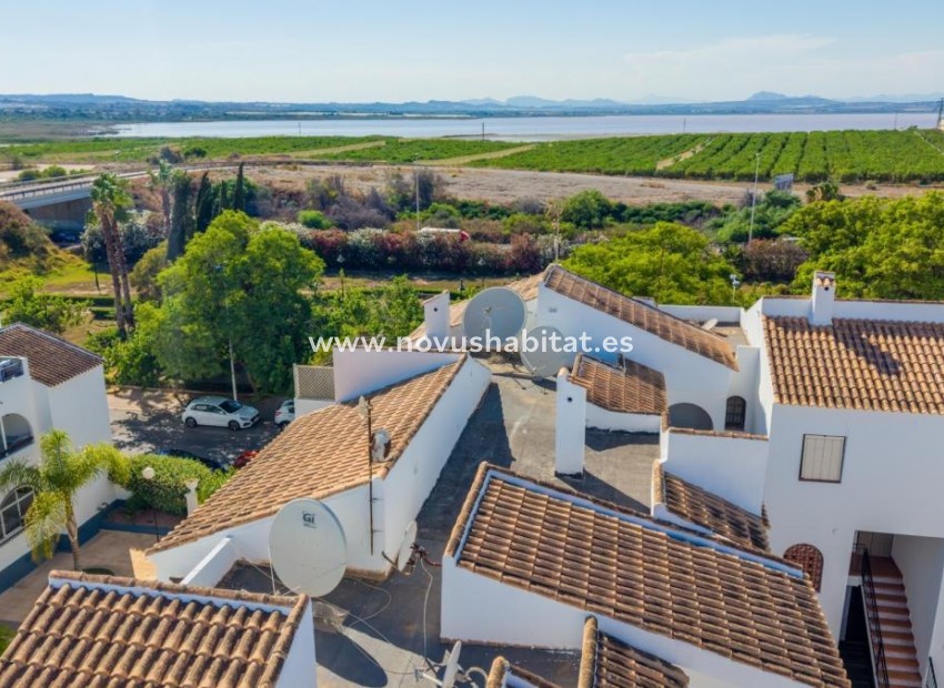 Nowa inwestycja - Duplexes - Torrevieja