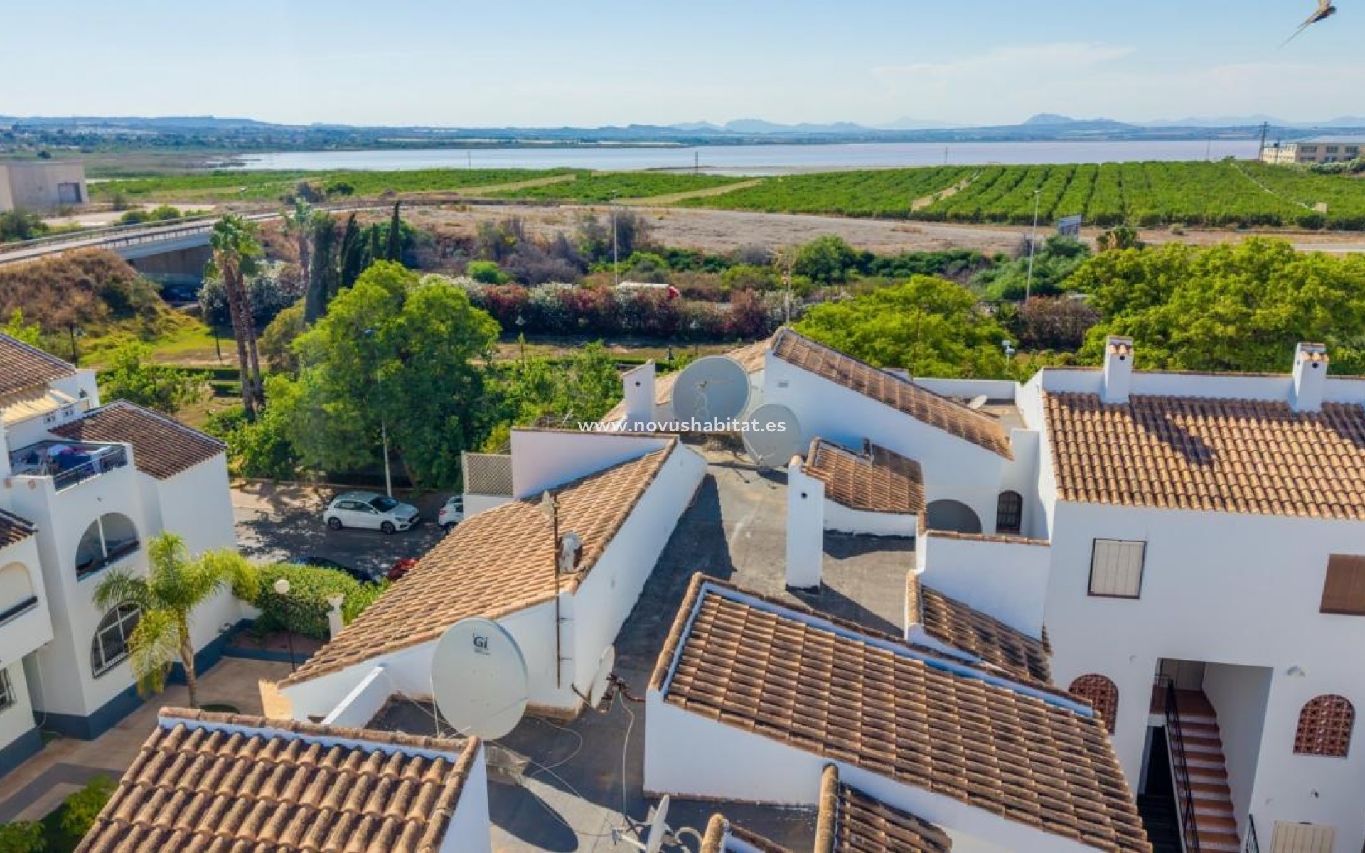 Nowa inwestycja - Duplexes - Torrevieja