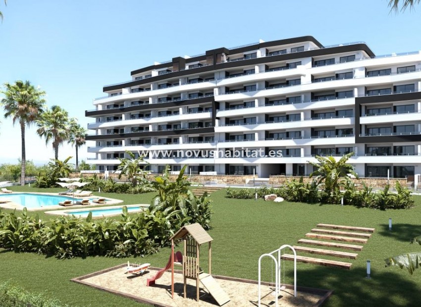 Nowa inwestycja - Ground floors - San Miguel de Salinas
