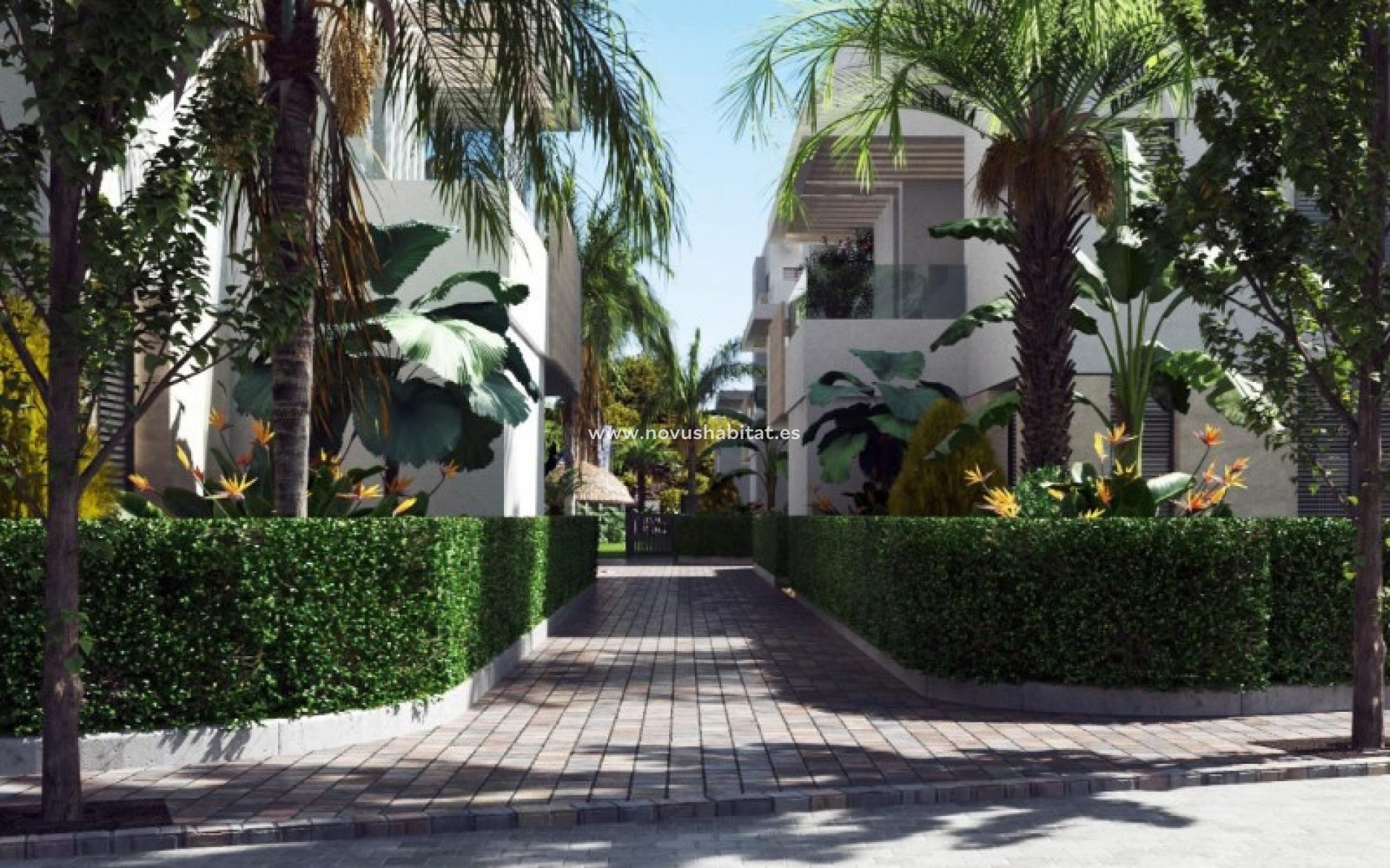 Nowa inwestycja - Ground floors - Torre Pacheco - Torre-Pacheco