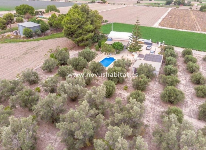 Nowa inwestycja - Houses - Dolores