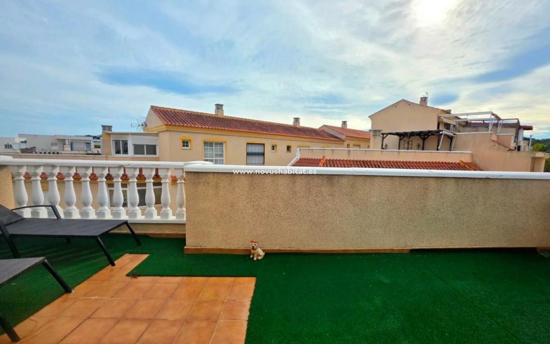 Nowa inwestycja - Houses - Guardamar del Segura